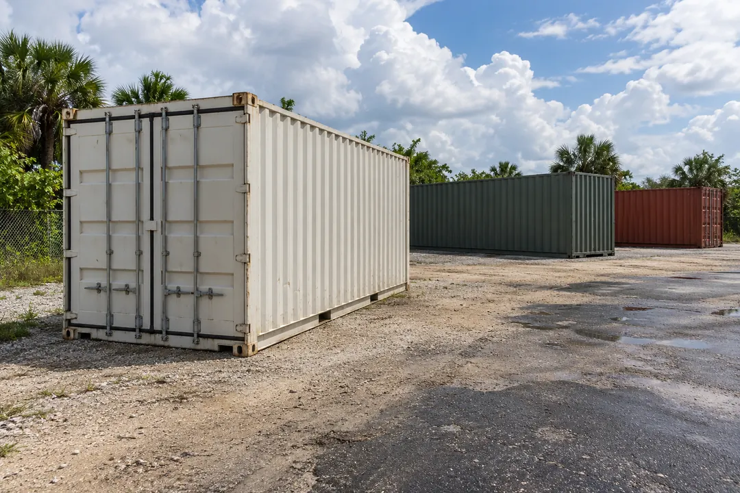 Illustrative image of white, green and red shipping containers in a yard with palm trees and summer clouds
